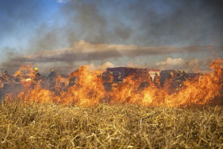 Police Crackdown on Stubble Burning: 874 Cases Filed, ₹10.55 Lakh in Fines.ਪਰਾਲੀ ਸਾੜਨ ’ਤੇ ਪੁਲਿਸ ਦੀ ਸਖਤ ਕਾਰਵਾਈ! 874 ਮਾਮਲੇ ਦਰਜ, 10.55 ਲੱਖ ਰੁਪਏ ਜੁਰਮਾਨਾ