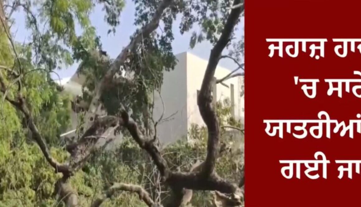 “All 242 passengers died in the Ahmedabad plane crash, former CM Vijay Rupani also among the deceased.”