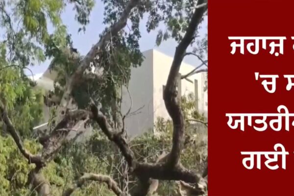 “All 242 passengers died in the Ahmedabad plane crash, former CM Vijay Rupani also among the deceased.”