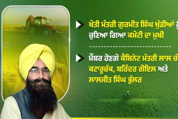 Mann Government Forms Committee for Crop Procurement, Includes Khuddian as Chief and Kataruchak Among Members