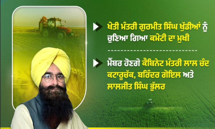 Mann Government Forms Committee for Crop Procurement, Includes Khuddian as Chief and Kataruchak Among Members