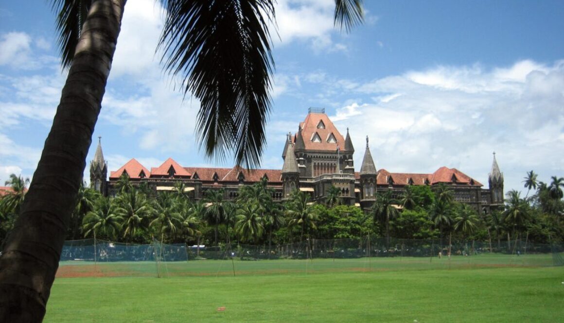 Bombay HC: No fundamental right for Indian to adopt U.S. child; U.S. process must be followed.