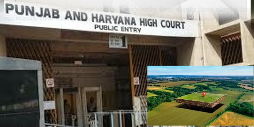 Punjab-Haryana High Court Halts Punjab’s Land Pooling Policy Until Tomorrow; AG Assures No New Steps Taken