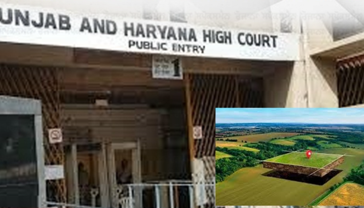 High Court Delivers Major Blow to Bhagwant Mann Govt, Halts Land Pooling Policy for 4 Weeks, Orders Withdrawal of Notification