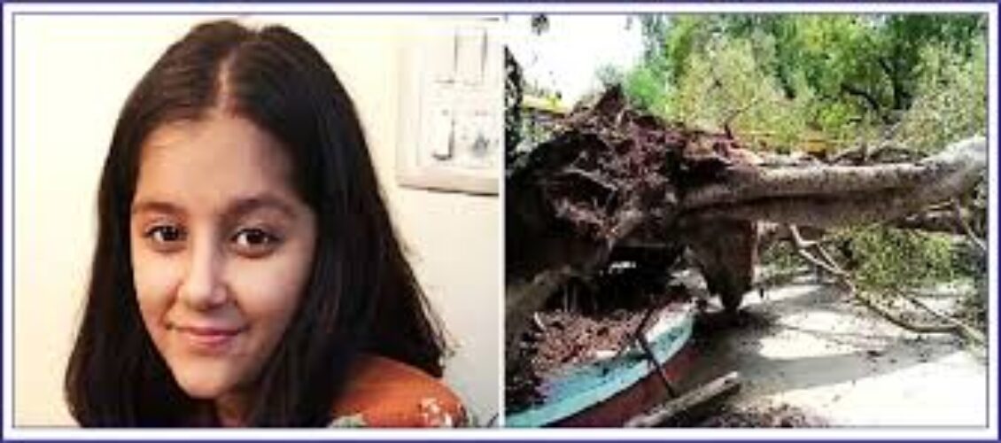 Chandigarh High Court Orders ₹1 Crore Compensation to Family of Student Who Died After Tree Fell