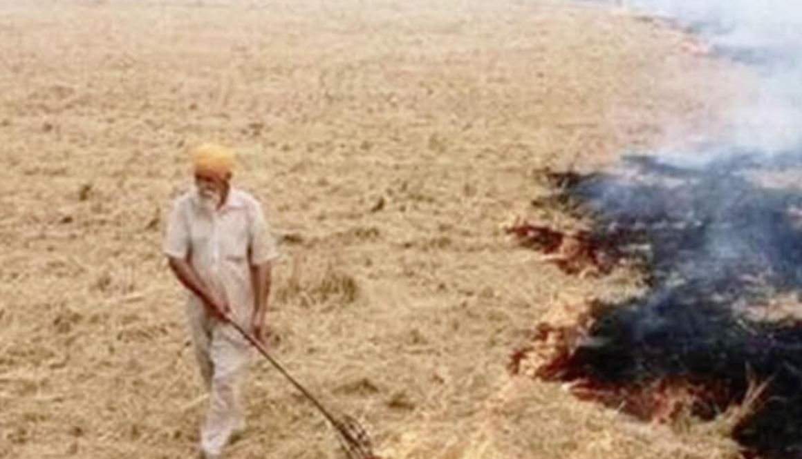 NGT Judge Sudhir Agarwal terms jailing Punjab farmers over stubble burning as unjust, says linking it to Delhi pollution has no scientific basis.