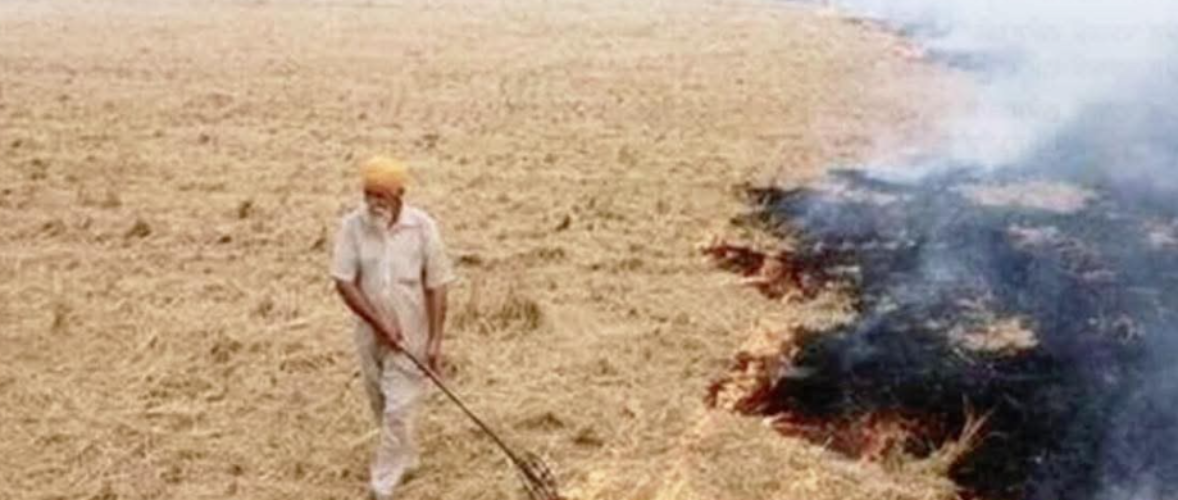 NGT Judge Sudhir Agarwal terms jailing Punjab farmers over stubble burning as unjust, says linking it to Delhi pollution has no scientific basis.