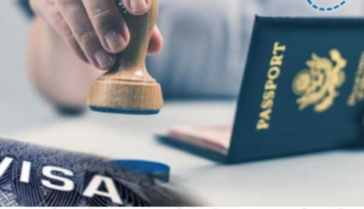 Cases filed against 11 fake immigration companies: ₹1.15 crore fraud exposed.