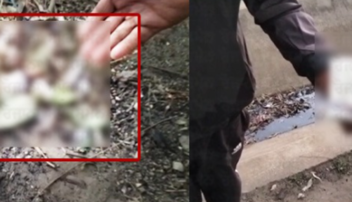 Beadbi Horror Near Samrala: Torn Pages of Gutka Sahib & Deity Images Found on Bharthla Road – Local Fury, Admin Assures Action