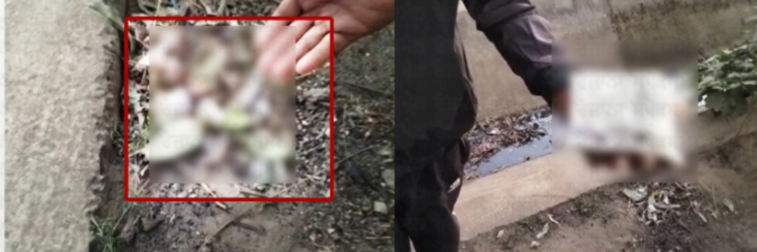Beadbi Horror Near Samrala: Torn Pages of Gutka Sahib & Deity Images Found on Bharthla Road – Local Fury, Admin Assures Action