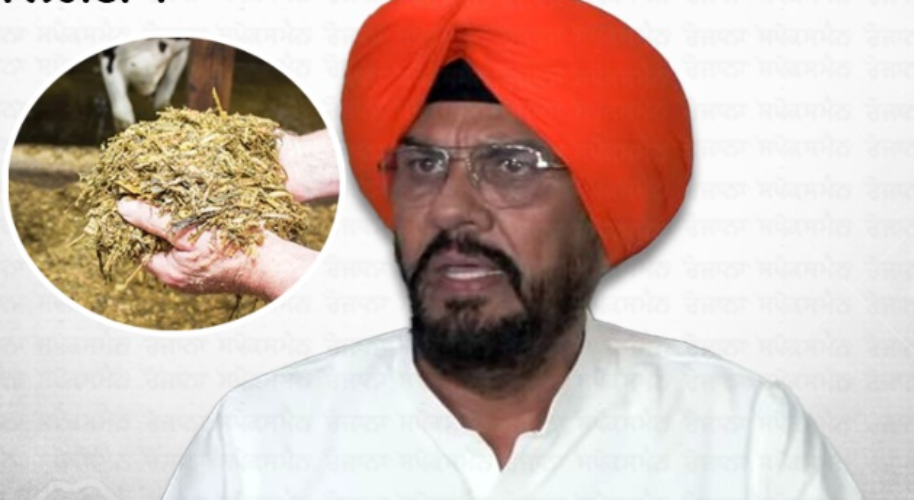 dhaliwal