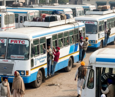 Punjab Govt Buses