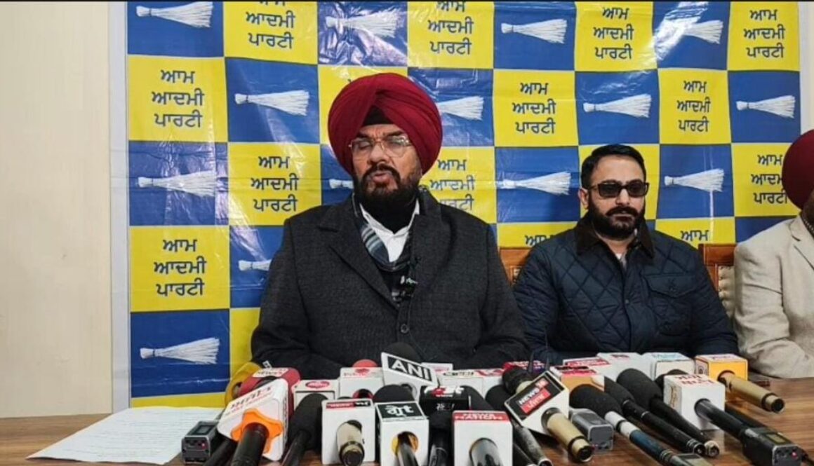 WhatsApp Image 2026-01-12 at 15.38.53