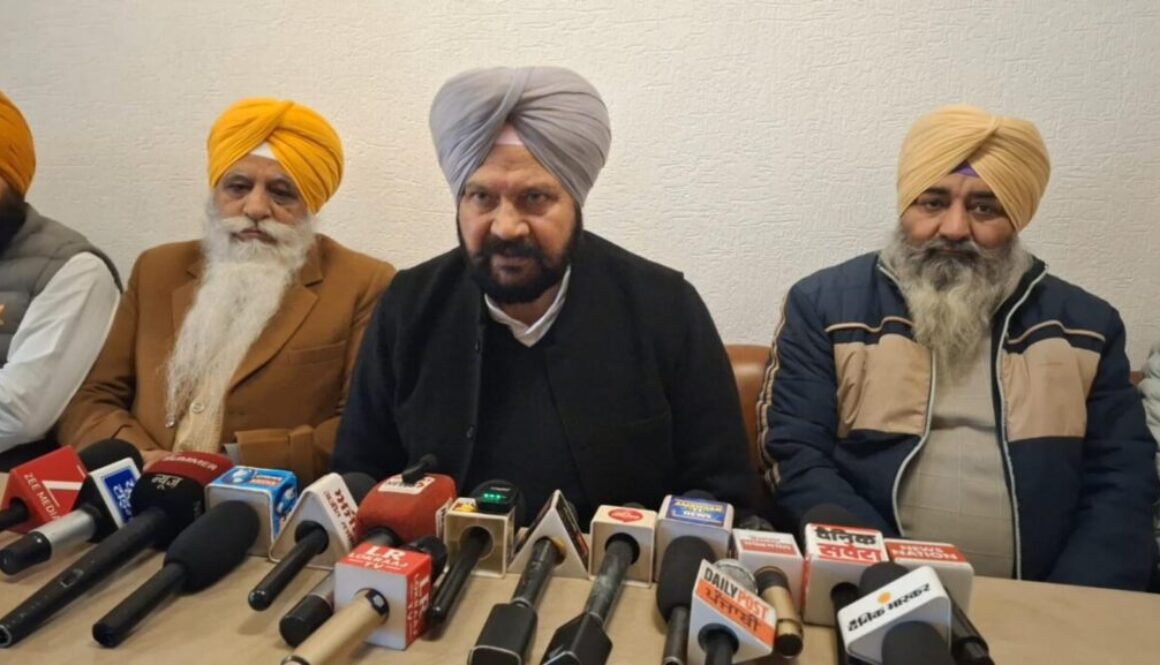 WhatsApp Image 2026-01-14 at 20.41.59