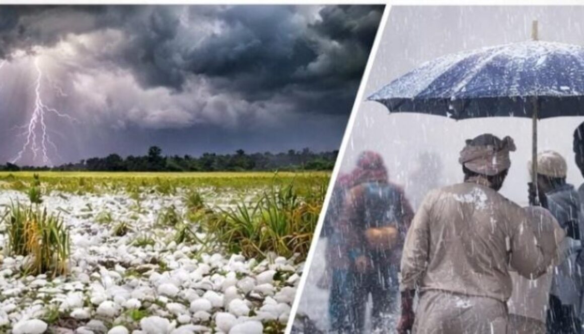 WhatsApp Image 2026-01-27 at 19.13.29