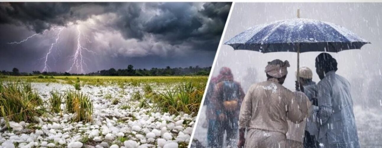 WhatsApp Image 2026-01-27 at 19.13.29