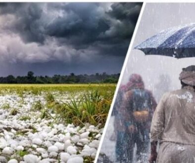 WhatsApp Image 2026-01-27 at 19.13.29