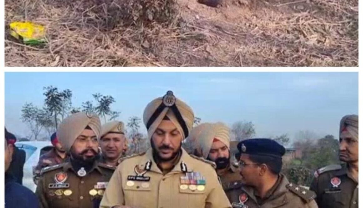 WhatsApp Image 2026-01-29 at 21.23.15