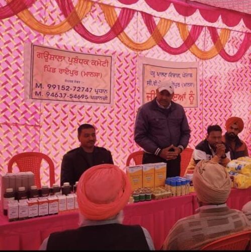 WhatsApp Image 2026-01-31 at 11.31.46