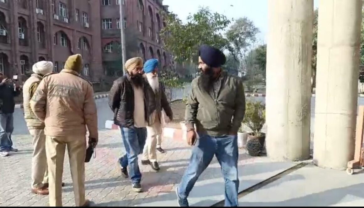 WhatsApp Image 2026-01-31 at 12.29.22