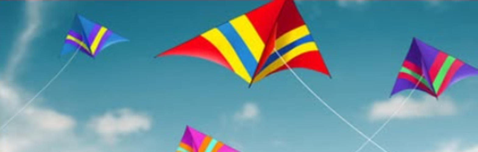 Phagwara Tragedy: Family's Effort to Stop Child from Kite Flying with China Dor Proves Costly – 11-Year-Old Loses Life