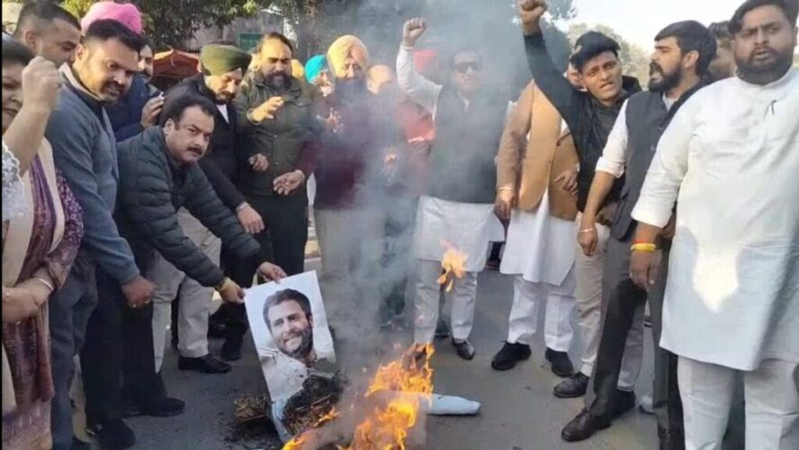 WhatsApp Image 2026-02-04 at 19.31.16