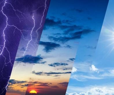 WhatsApp Image 2026-02-08 at 22.25.33