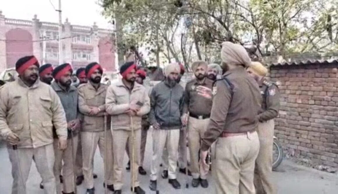 WhatsApp Image 2026-02-09 at 14.15.10