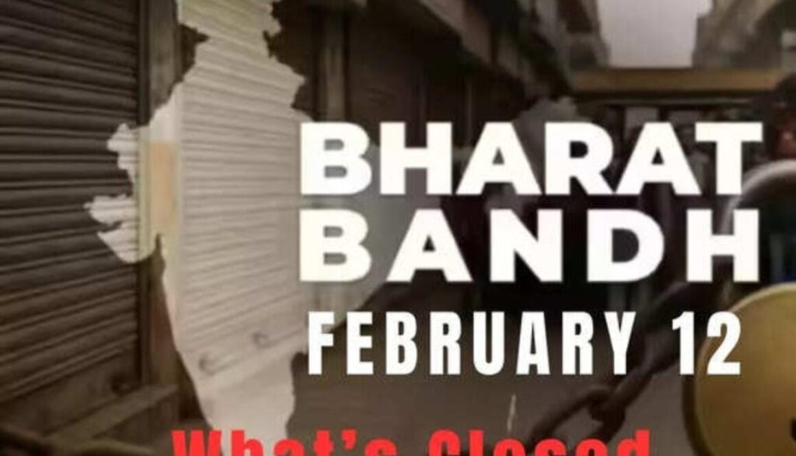 WhatsApp Image 2026-02-11 at 21.01.15