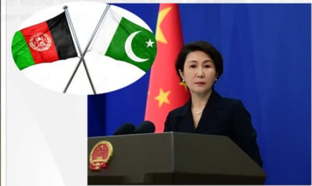 China Expresses Concern Over Pakistan-Afghanistan Conflict