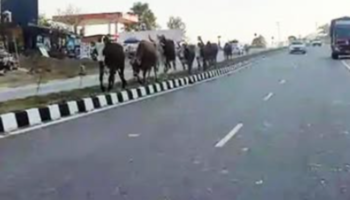 Chandigarh to Dharamshala Journey to Become Easier – NH 503 from Kiratpur Sahib to Nangal to be 4-Laned