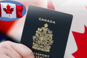 Big News for Indians in Canada: 33,000 Work Permit Holders to Get Permanent Residency