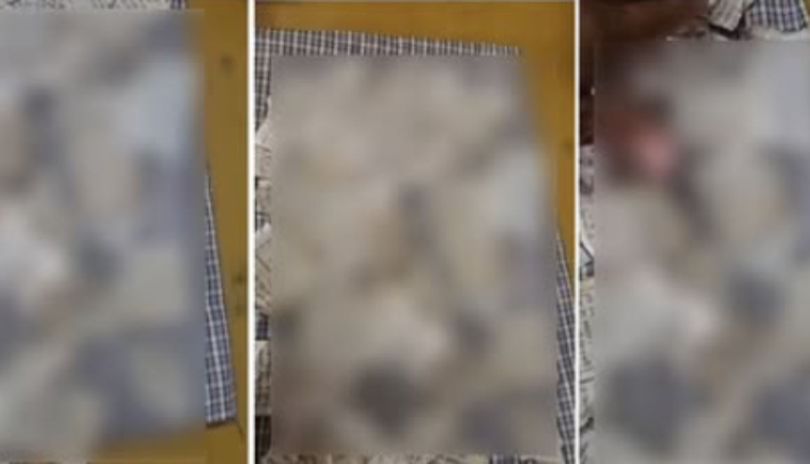 samana gutka sahib beadbi sacred pages road