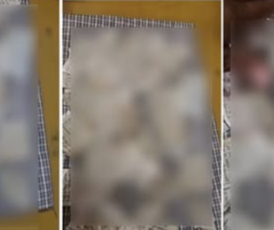 samana gutka sahib beadbi sacred pages road