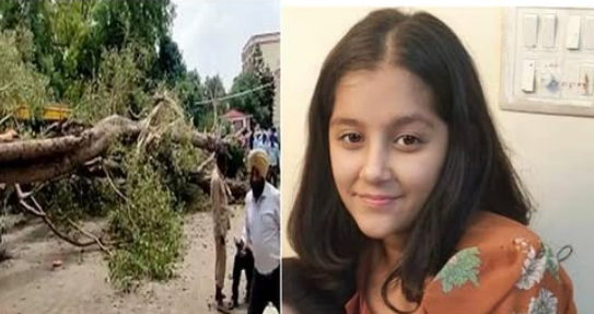 “Carmel Convent Tree Fall Tragedy: High Court Orders Chandigarh Administration to Pay ₹1.5 Crore Compensation”