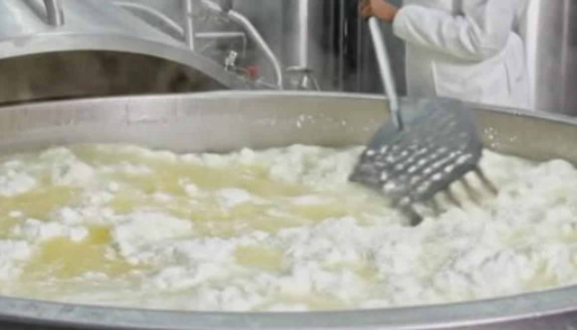 Dangerous paneer making process India