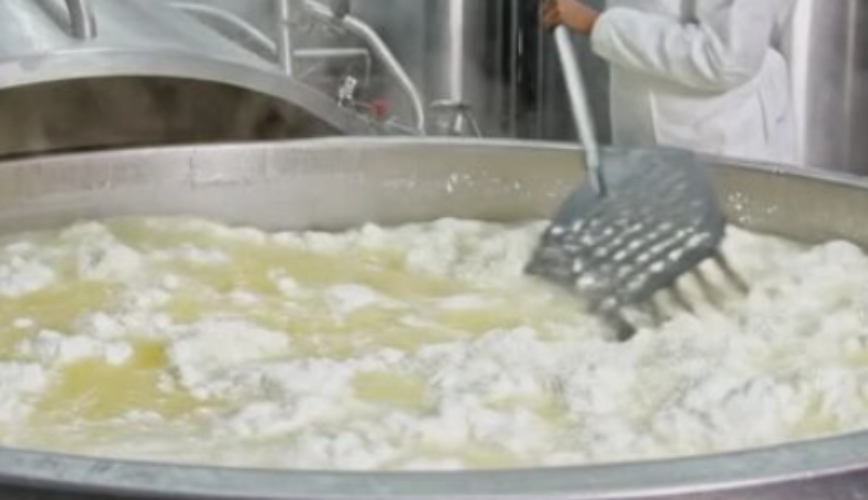 Dangerous paneer making process India