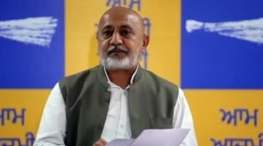 Punjab Canal Water irrigation system