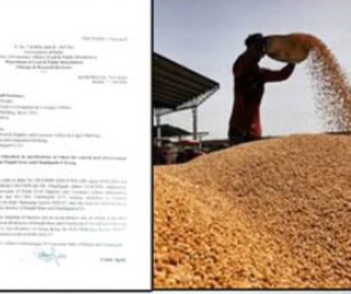 farmers selling wheat MSP