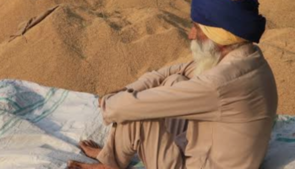 wheat mandi Punjab farmers