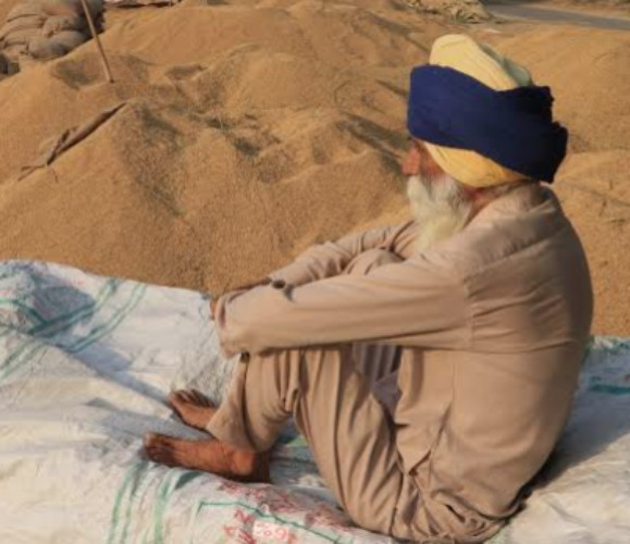 wheat mandi Punjab farmers