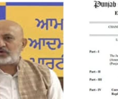 Punjab beadbi law announcement