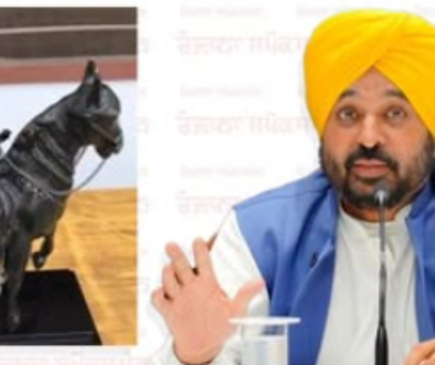 CM Bhagwant Mann honors athletes