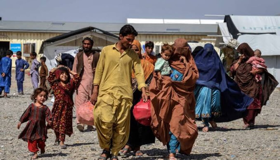 afghan return