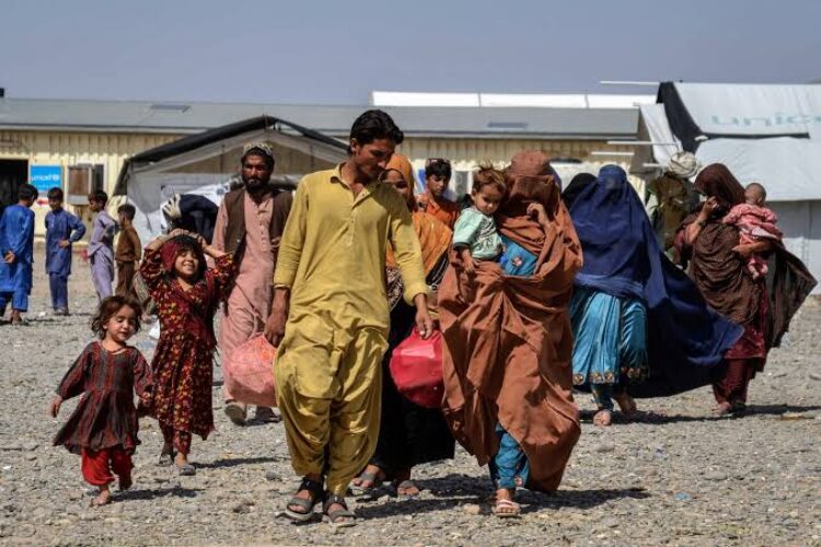 afghan return