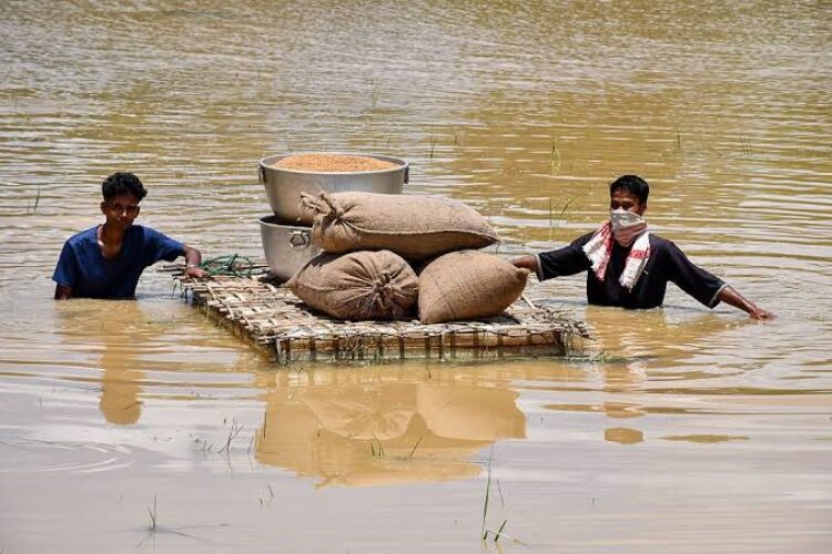 asam flood