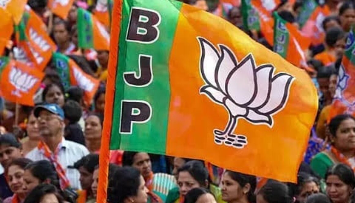 bjp flag