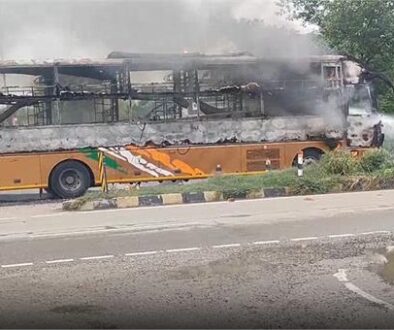bus