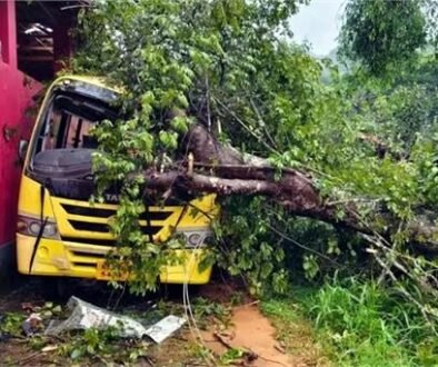 bus accident