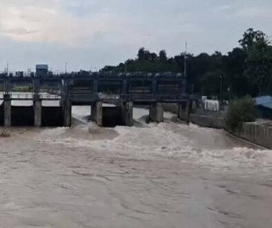 flood gate